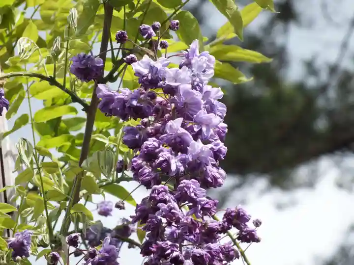 志那神社の自然