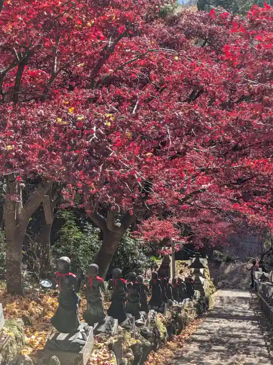 大山寺(神奈川県)