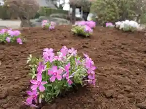 伏木香取神社の庭園(2021年03月08日(月) 16時04分40秒投稿)