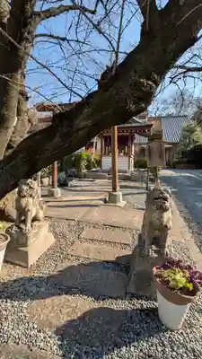 光傅寺（光伝寺）(大阪府)
