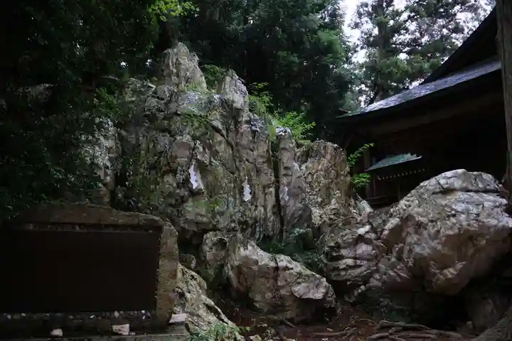 鹿島大神宮の自然
