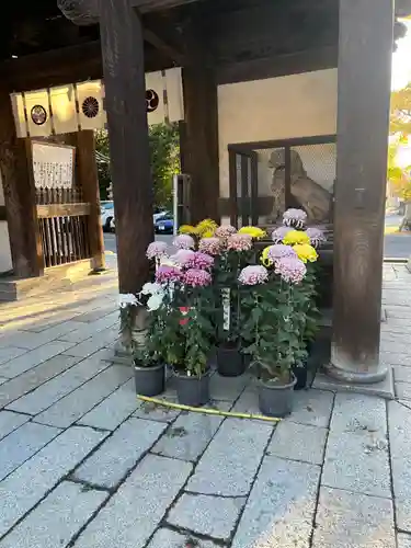 日牟禮八幡宮(滋賀県)