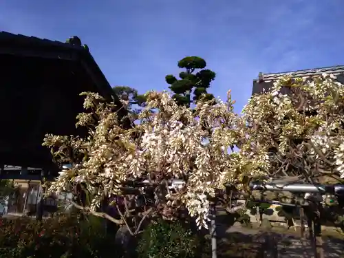 倶梨迦羅神社の自然