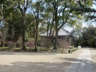 仁和寺(京都府)
