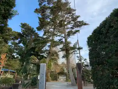 光厳寺のその他建物