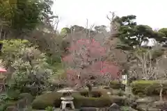 長谷寺の庭園