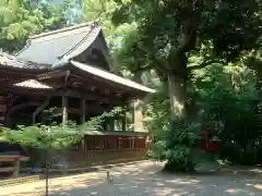 一ノ矢八坂神社の建物その他