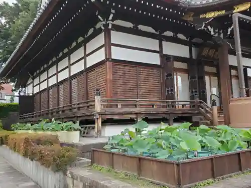 善導寺のその他建物