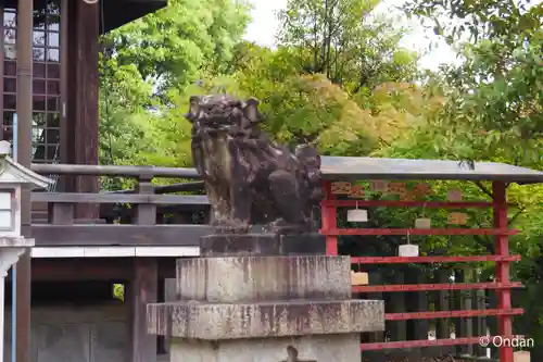 京都乃木神社の狛犬