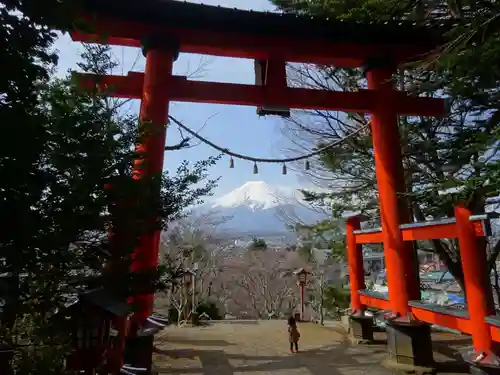 新倉富士浅間神社の鳥居