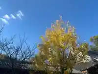 一乗院(和歌山県)