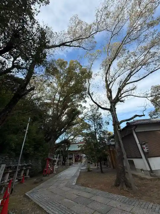 刺田比古神社の{uncategorized: "未分類", other: "その他", undefined: "問題あり", building: "その他建物", grave: "お墓", sacred_gate: "鳥居", guardian: "狛犬", statue: "像", buddha: "仏像", history: "歴史", nature: "自然", garden: "庭園", animal: "動物", pagoda: "塔", temizu: "手水舎", mountain_gate: "山門・神門", sanctuary: "本殿・本堂", subordinate: "末社・摂社", art: "芸術", scenery: "景色", jizo: "地蔵", ema: "絵馬", goshuin: "御朱印", omikuji: "おみくじ", items: "授与品その他", amulet: "お守り", goshuincho: "御朱印帳", eats: "食事", festival: "お祭り", votive_dance: "神楽", shichigosan: "七五三参", wedding: "結婚式", experience: "体験その他", initially: "初詣", around: "周辺", anti_infection: "感染症対策"}