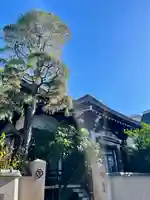 阿弥陀寺(東京都)