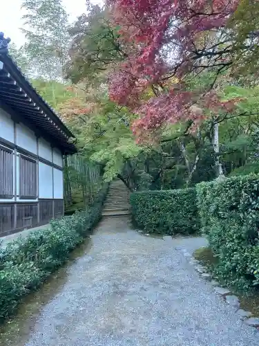 常寂光寺の{uncategorized: "未分類", other: "その他", undefined: "問題あり", building: "その他建物", grave: "お墓", sacred_gate: "鳥居", guardian: "狛犬", statue: "像", buddha: "仏像", history: "歴史", nature: "自然", garden: "庭園", animal: "動物", pagoda: "塔", temizu: "手水舎", mountain_gate: "山門・神門", sanctuary: "本殿・本堂", subordinate: "末社・摂社", art: "芸術", scenery: "景色", jizo: "地蔵", ema: "絵馬", goshuin: "御朱印", omikuji: "おみくじ", items: "授与品その他", amulet: "お守り", goshuincho: "御朱印帳", eats: "食事", festival: "お祭り", votive_dance: "神楽", shichigosan: "七五三参", wedding: "結婚式", experience: "体験その他", initially: "初詣", around: "周辺", anti_infection: "感染症対策"}