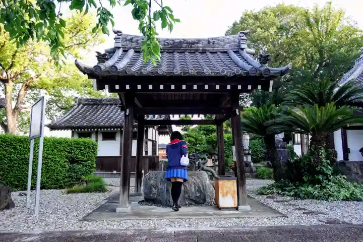 聖應寺の{uncategorized: "未分類", other: "その他", undefined: "問題あり", building: "その他建物", grave: "お墓", sacred_gate: "鳥居", guardian: "狛犬", statue: "像", buddha: "仏像", history: "歴史", nature: "自然", garden: "庭園", animal: "動物", pagoda: "塔", temizu: "手水舎", mountain_gate: "山門・神門", sanctuary: "本殿・本堂", subordinate: "末社・摂社", art: "芸術", scenery: "景色", jizo: "地蔵", ema: "絵馬", goshuin: "御朱印", omikuji: "おみくじ", items: "授与品その他", amulet: "お守り", goshuincho: "御朱印帳", eats: "食事", festival: "お祭り", votive_dance: "神楽", shichigosan: "七五三参", wedding: "結婚式", experience: "体験その他", initially: "初詣", around: "周辺", anti_infection: "感染症対策"}