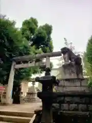 諏訪神社(東京都)