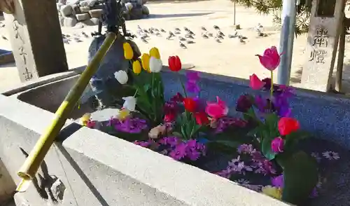 三津厳島神社の手水舎