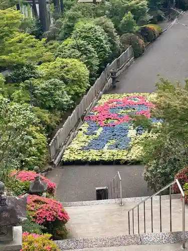 三室戸寺(京都府)