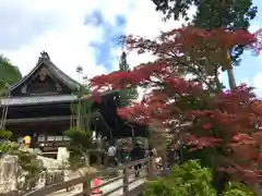 善峯寺(京都府)