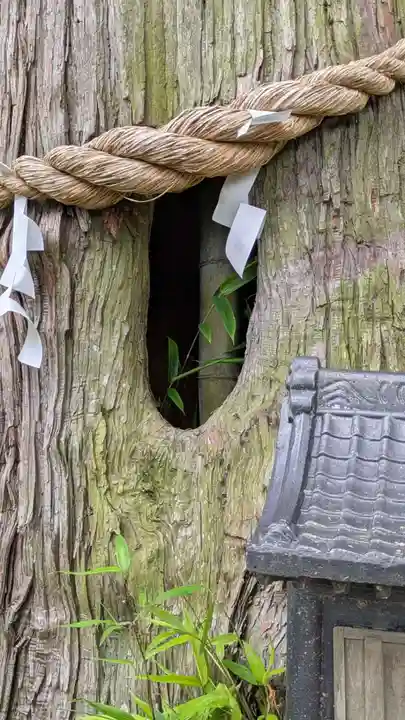 阿久津「田村神社」(郡山市阿久津町)旧社名:伊豆箱根三嶋三社(福島県)