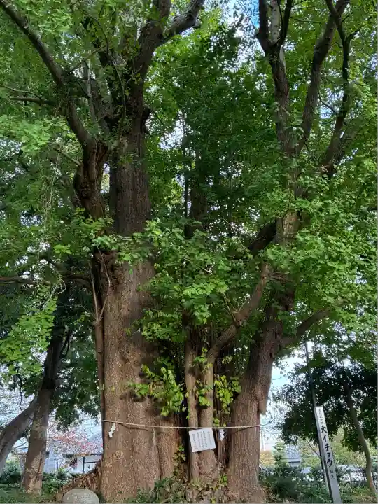 豊積神社(静岡県)