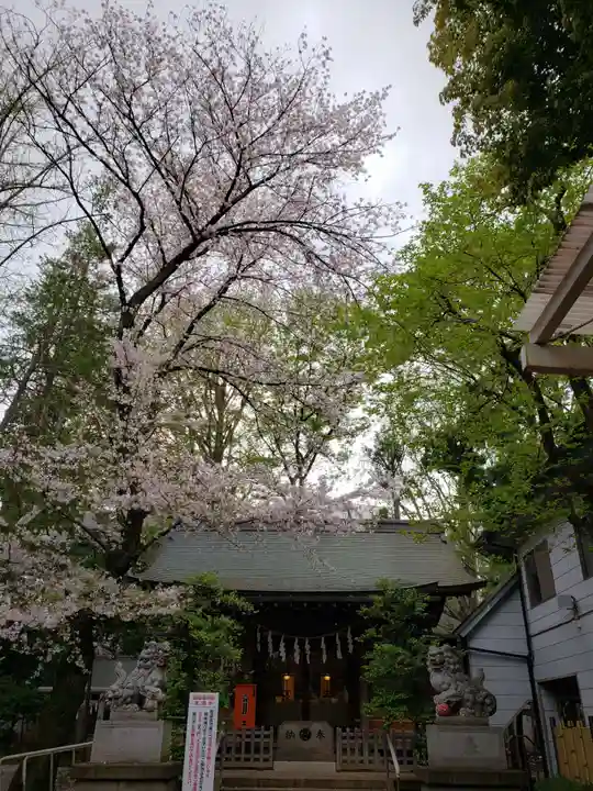 神明氷川神社の本殿・本堂