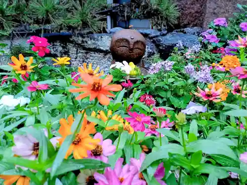 藤次寺(大阪府)