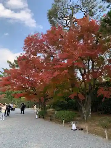 平等院(京都府)