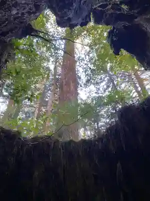 木魂神社(鹿児島県)