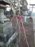 伏木香取神社の自然