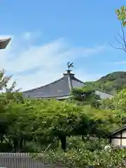 誉田八幡宮(大阪府)