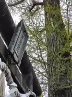 賀茂皇大神社の鳥居