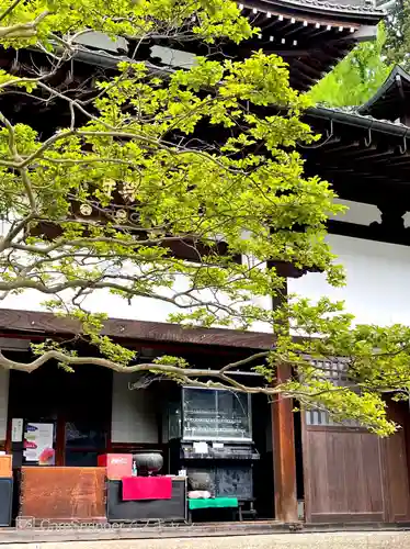 極楽寺の本殿・本堂