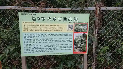 神明神社(岐阜県)