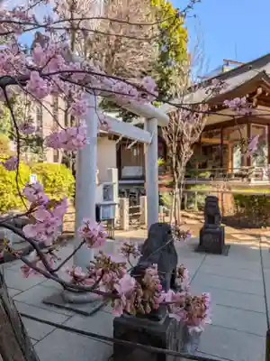 鳩森八幡神社(東京都)