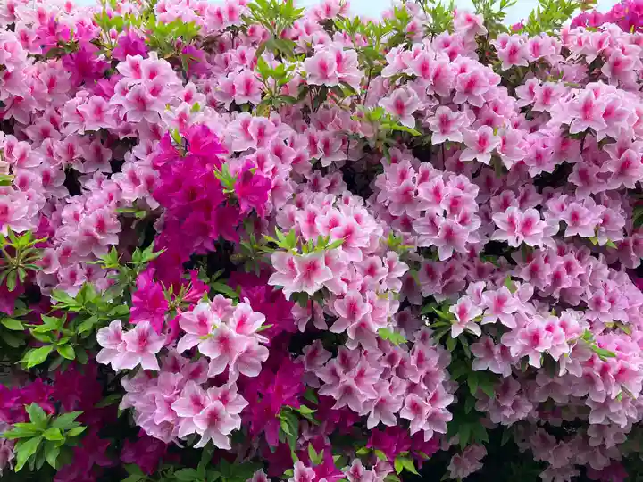 観福寺(愛知県)