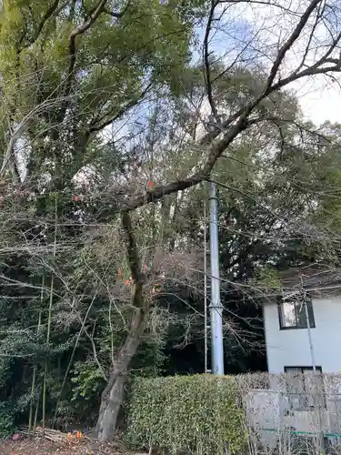 石清水八幡宮(京都府)