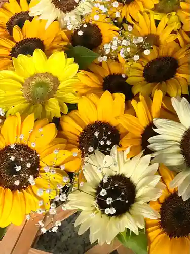 札幌諏訪神社の手水舎