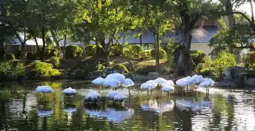 宗像大社(福岡県)