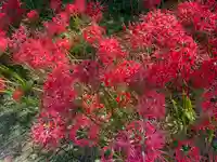 横浜 西方寺(神奈川県)