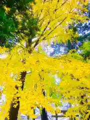 岡見八坂神社(茨城県)