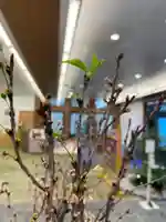 メノコト神社(京都府)