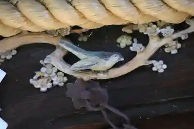 愛宕神社の本殿・本堂