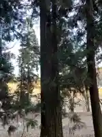 大宮温泉神社(栃木県)