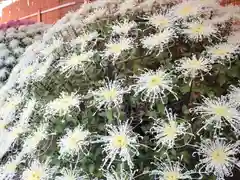 湯島天満宮の芸術