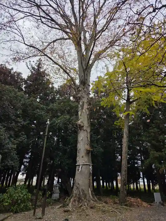 春日神社(栃木県)
