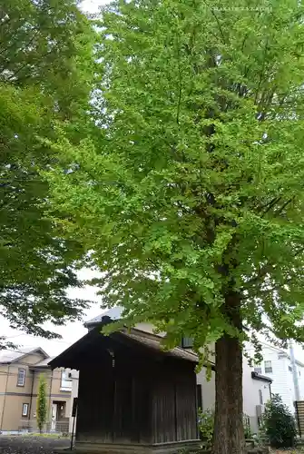 髙部屋神社(神奈川県)
