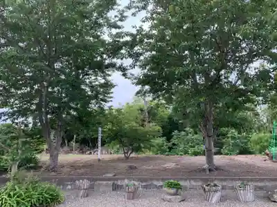 国分寺のその他建物