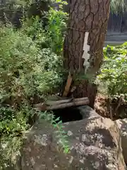 若宮神社(京都府)