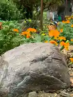 川田八幡神社の自然